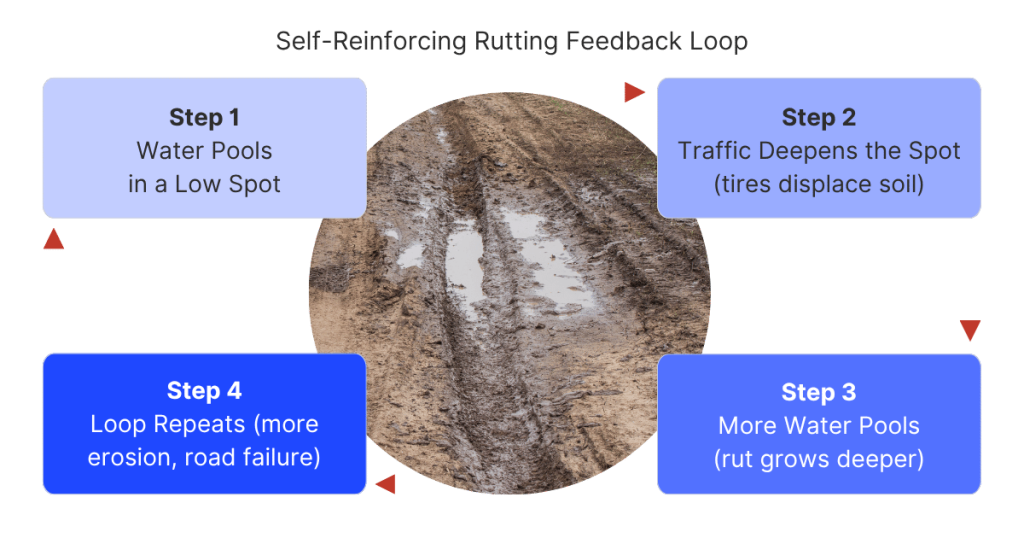 Simple diagram showing the rutting feedback loop — water pools in a low spot, traffic deepens it, more water pools, repeat. 